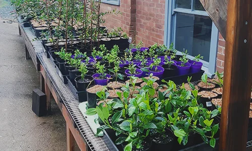 Gloucester Landscapes