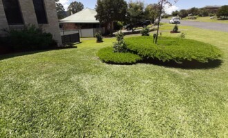 Gardening and Maintenance in Gloucester NSW