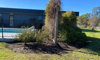 Gardening and Maintenance in Gloucester NSW