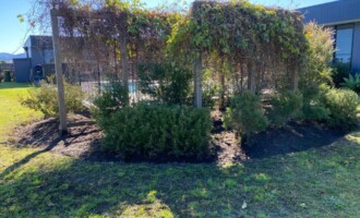 Gardening and Maintenance in Gloucester NSW