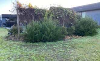 Gardening and Maintenance in Gloucester NSW