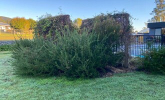 Gardening and Maintenance in Gloucester NSW